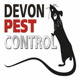 nw pest control