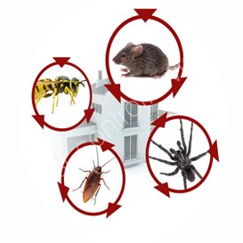wise pest control