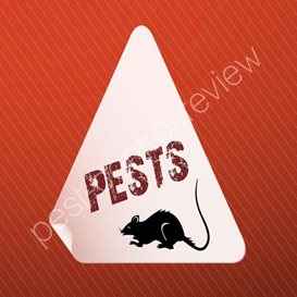 home pest control products